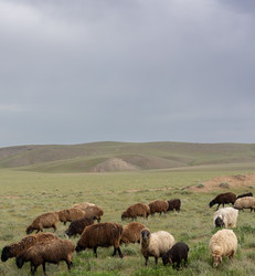 Similar image 21890364