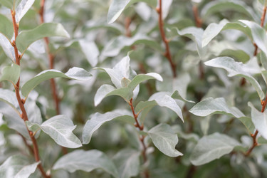 Similar image 21887890