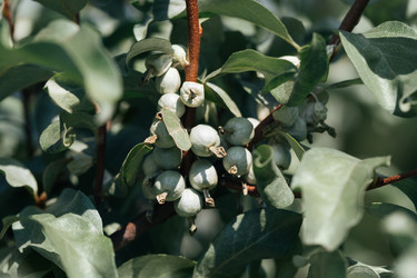 Similar image 21887891