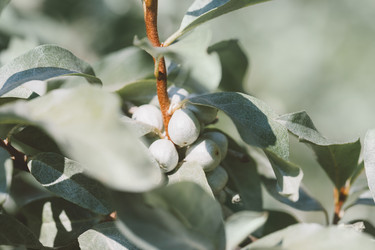 Similar image 21887892