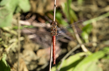 Similar image 21887894