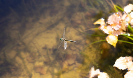 Similar image 21887895