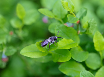 Similar image 21887896