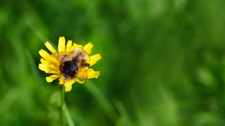 Similar image 21887897