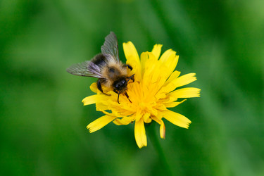 Similar image 21887899