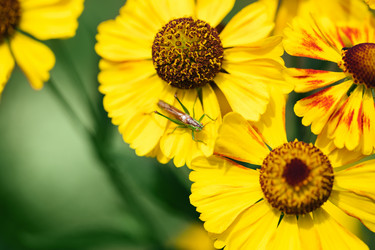 Similar image 21887901