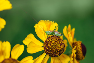 Similar image 21887902