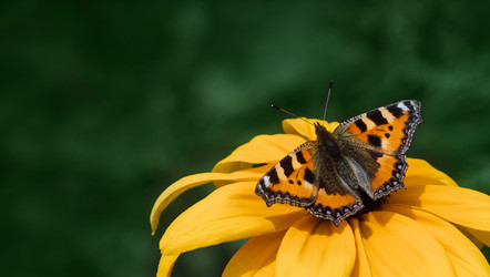 Similar image 21887904