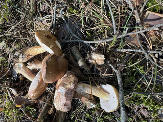 Similar image 21887158