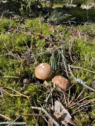 Similar image 21887159