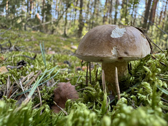 Similar image 21887162