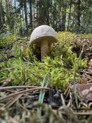 Similar image 21887163