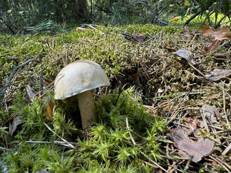 Similar image 21887164