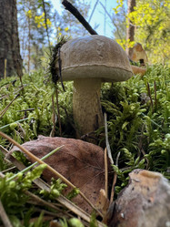 Similar image 21887166