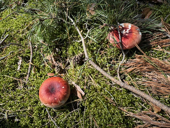 Similar image 21887167