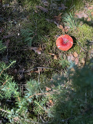 Similar image 21887168