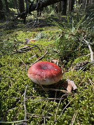 Similar image 21887169