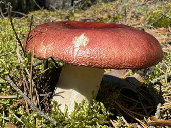 Similar image 21887170