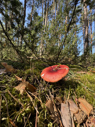 Similar image 21887174