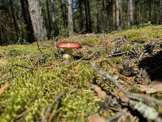 Similar image 21887175