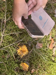 Similar image 21887601