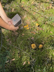 Similar image 21887602