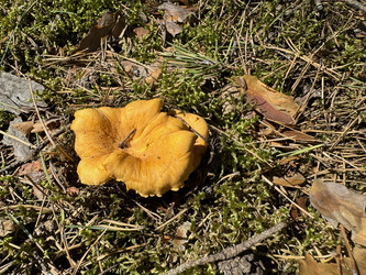 Similar image 21887603