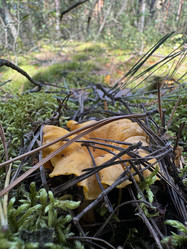 Similar image 21887604