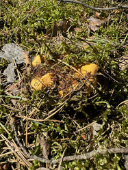 Similar image 21887605