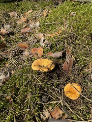 Similar image 21887606