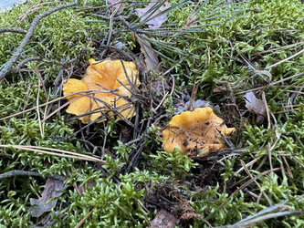 Similar image 21887607