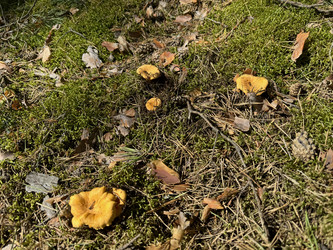 Similar image 21887608