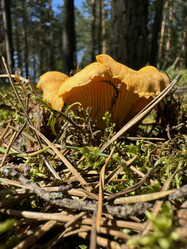 Similar image 21887609