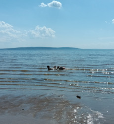 Similar image 21887377