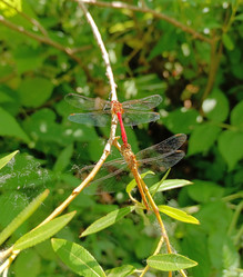 Similar image 21886712