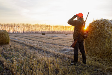 Similar image 21886721