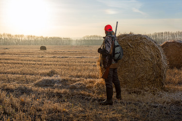 Similar image 21886722