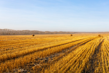 Similar image 21886724