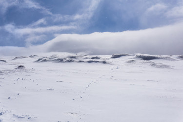 Similar image 21885707