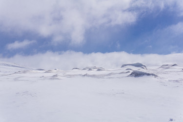 Similar image 21885708