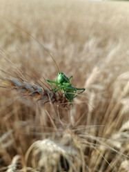 Similar image 21885335