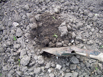 Similar image 21885448