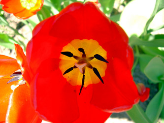 Similar image 21885449