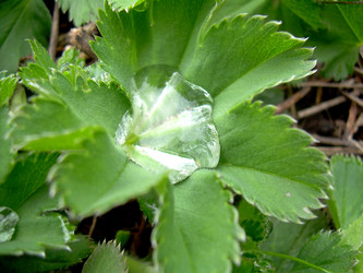 Similar image 21885450