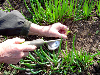 Similar image 21885451