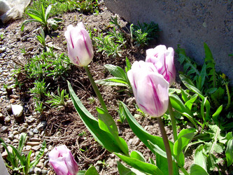 Similar image 21885452