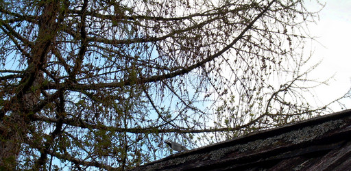 Similar image 21885455