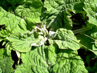 Similar image 21885456