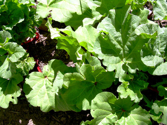 Similar image 21885457