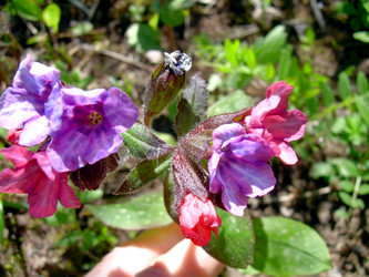 Similar image 21885458